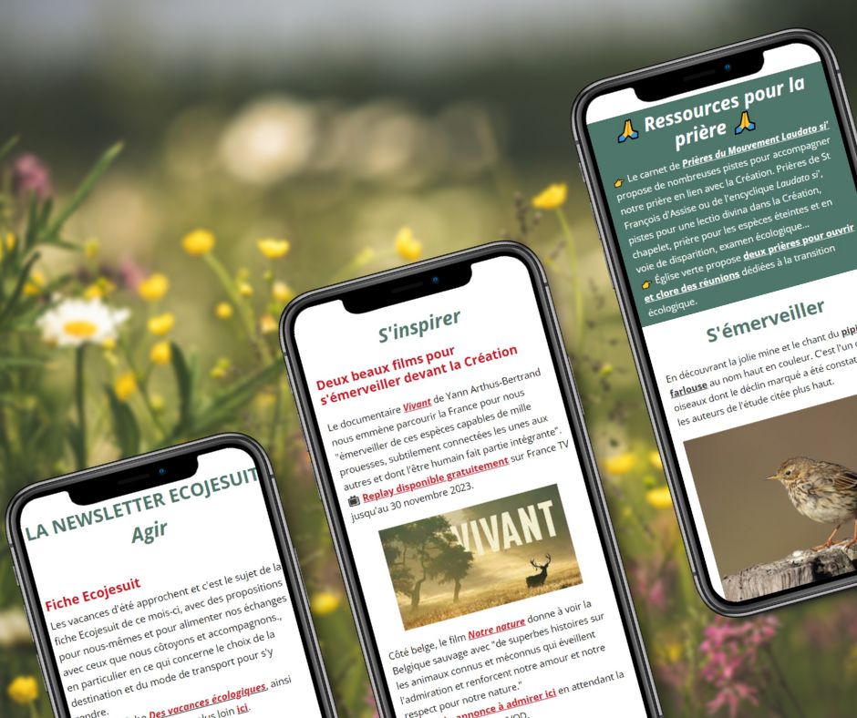 🗞️Dans la newsletter #Ecojesuit de juin : des enjeux &amp; pistes pour des vacances + écologiques, des perspectives sur l'agriculture et l'alimentation, une balade guidée dans la nature, le message du Pape pour le Temps pour la Création...
👉 À lire ici : bit.ly/3N4R6Pu