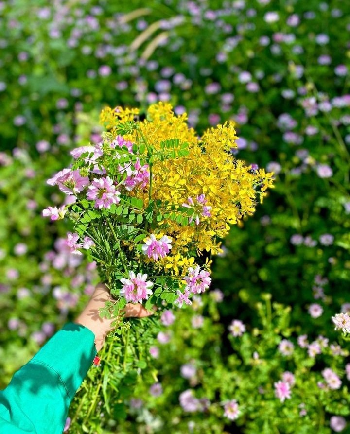 Unutma, senin için başkasından vazgeçen bir gün mutlaka başkası için senden vazgeçer (Mevlâna).