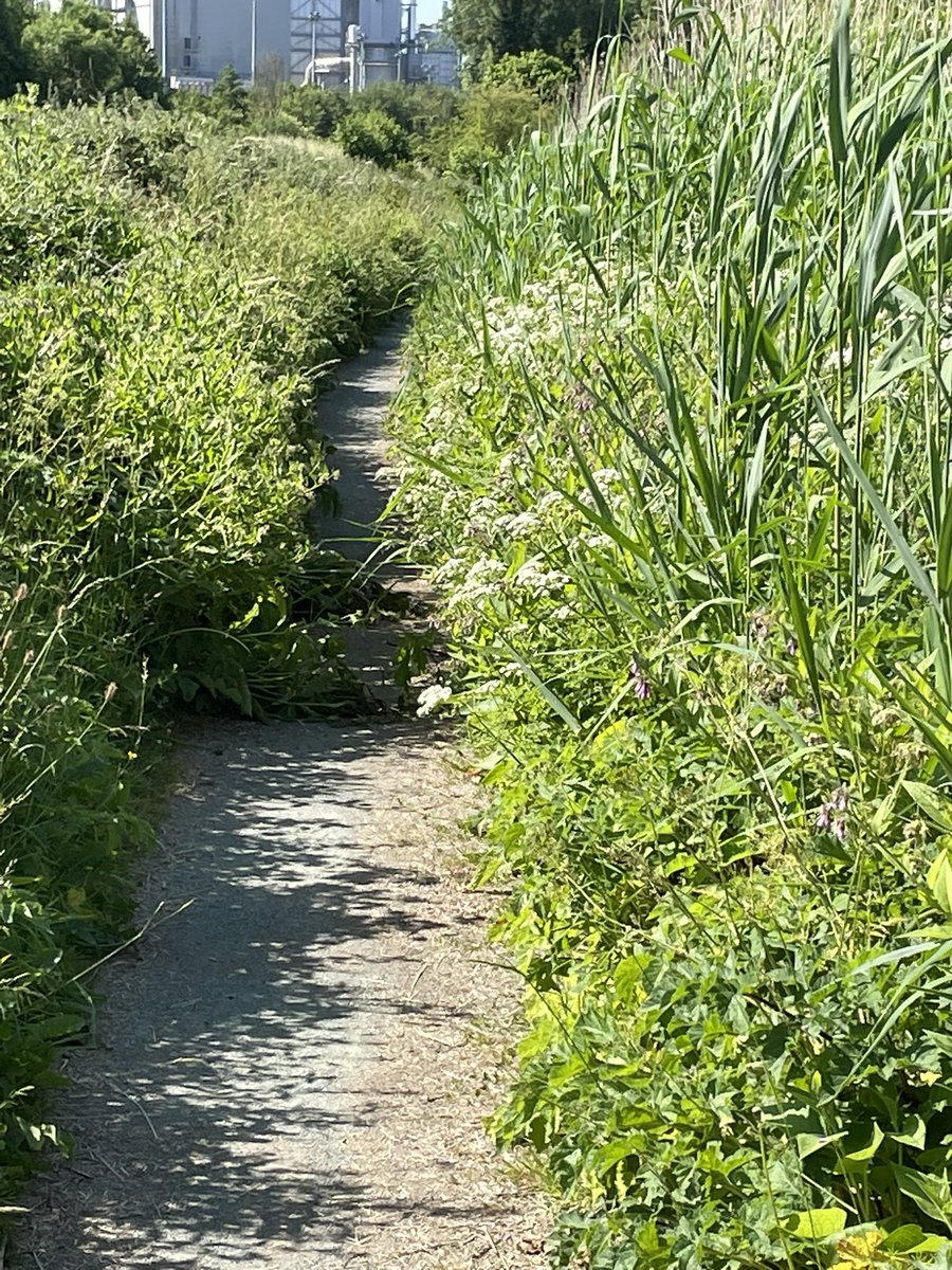 Cllr Terry Evans tweet media