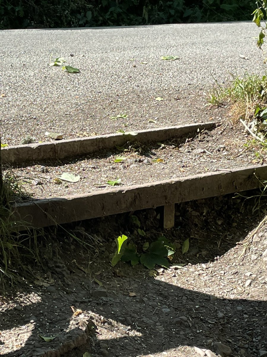 Cllr Terry Evans tweet media