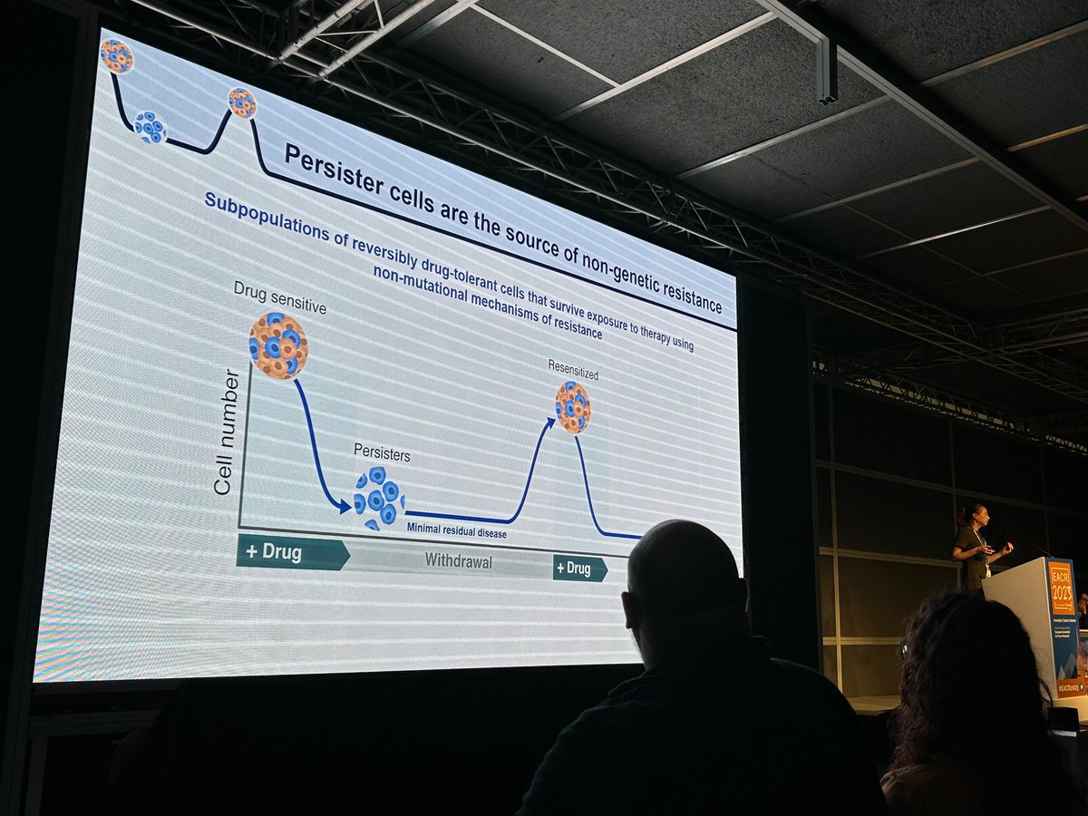 ManelEsteller's tweet image. Cancer "persister" cells, related to drug resistance, is a hot emerging topic at @EACRnews; Yaara Oren provides clues about their priming by tracing #singlecell ATAC sequencing; further important input is provided by @JAguirreGhiso and other speakers, discussing also #dormancy