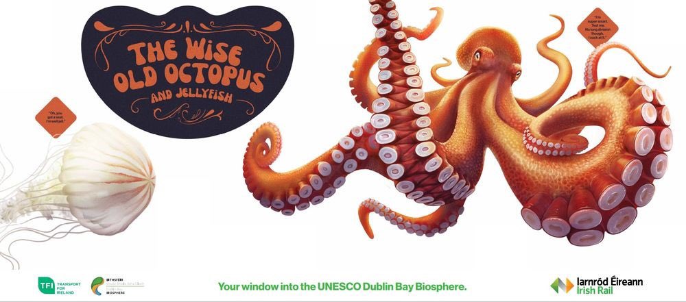 Iarnród Éireann (@irishrail) on Twitter photo Watch out for these guys coming into summer! Jellyfish - majestic alien looking creatures that have existed for over 700 million years, making them older than the dinosaurs! #WildWednesday <a href="/dublinbiosphere/">Dublin Bay Biosphere</a> #lovedublinbay #windowintothebiosphere Watch out for these guys coming into summer! Jellyfish - majestic alien looking creatures that have existed for over 700 million years, making them older than the dinosaurs! #WildWednesday <a href="/dublinbiosphere/">Dublin Bay Biosphere</a> #lovedublinbay #windowintothebiosphere