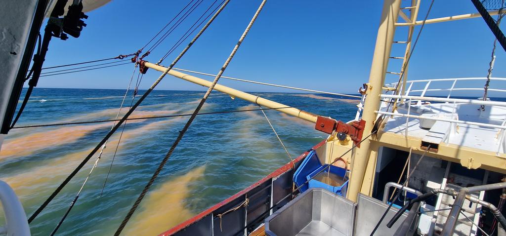 S@nderzk⚓NG-21 tweet media