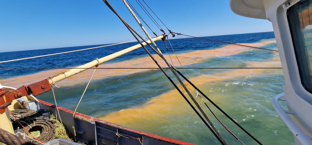 S@nderzk⚓NG-21 tweet media