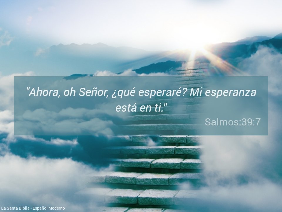 🙏¡Tú eres mi esperanza, oh Jehová, Dios mío!😇#RPSP #MiBibliaDice #Salmo39 #PrimeroDios #EsfuerzateEnSuPalabra #IWillGo #YoIre #BuenDia #Venezuela 🇻🇪
