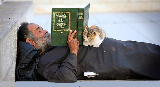 jamaliaat's tweet photo. " إذا أراد الله إلهامك وتوفيقك، فإنه يسوقك سوقاً إلى النص الذي يُرشدك، حتى إنك لتقرأ الكتاب ولا تعلم ما دافع اختيارك له من بين الكتب في هذه اللحظة بالضبط، ثم تدرك فيما بعد أنه يخبئ بين ثناياه رسالة على مقاس مرحلتك الحالية تماماً! " (م)

#جماليات
#مساء_الخيرᅠ https://t.co/zGbZUSj57R