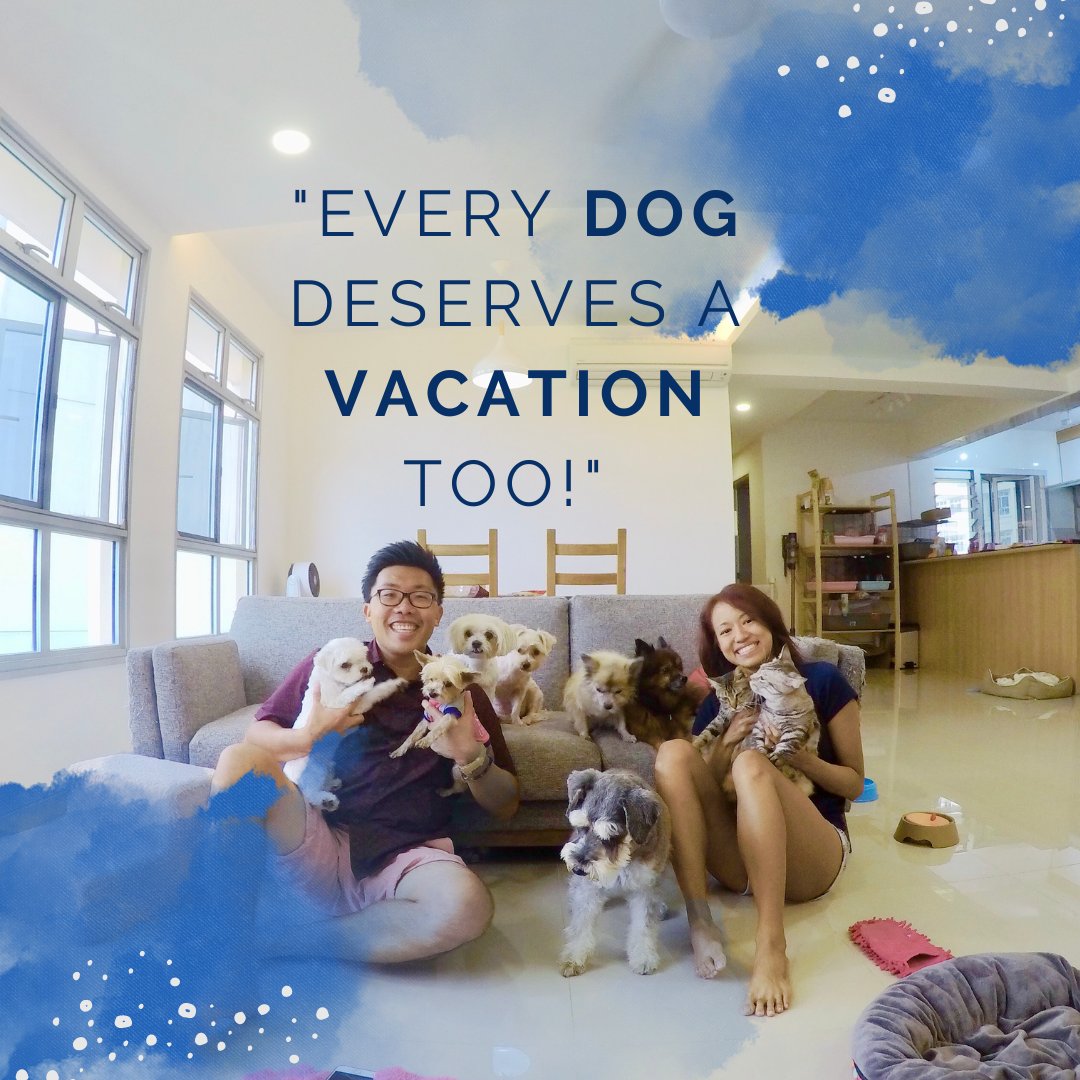 As much as we love our furry friends, sometimes we need a break. But that doesn't mean they have to miss out on the fun. At Crys & Mel's, we offer a dog's vacation home with plenty of cuddles, playtime, and relaxation. 🌴🐾 #dogvacation #dogboarding #homedogboarding