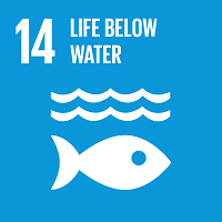 #SDGs #Goal6 and #Goal14 sometimes get overshadowed by #climate goals and the #ClimateEmergency and they are essential parts of the puzzle