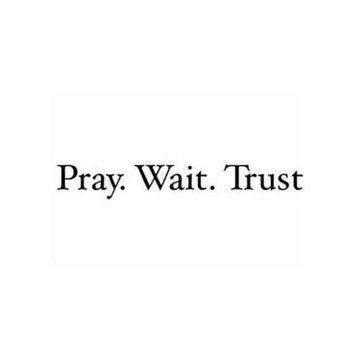 wise_chimp's tweet photo. This https://t.co/WyfjPnuNMN