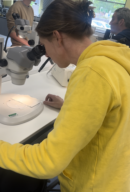 WH_Humanities's tweet photo. Mrs McCallum & Mrs Burns visited Aberdeen University recently to create links with the Geography & Geoscience department. We are hoping to invite lecturers and guest speakers in to school this session. Watch this space! #Geosceince #Geography #furtherlearning #exciting https://t.co/VmH0ky1DeX