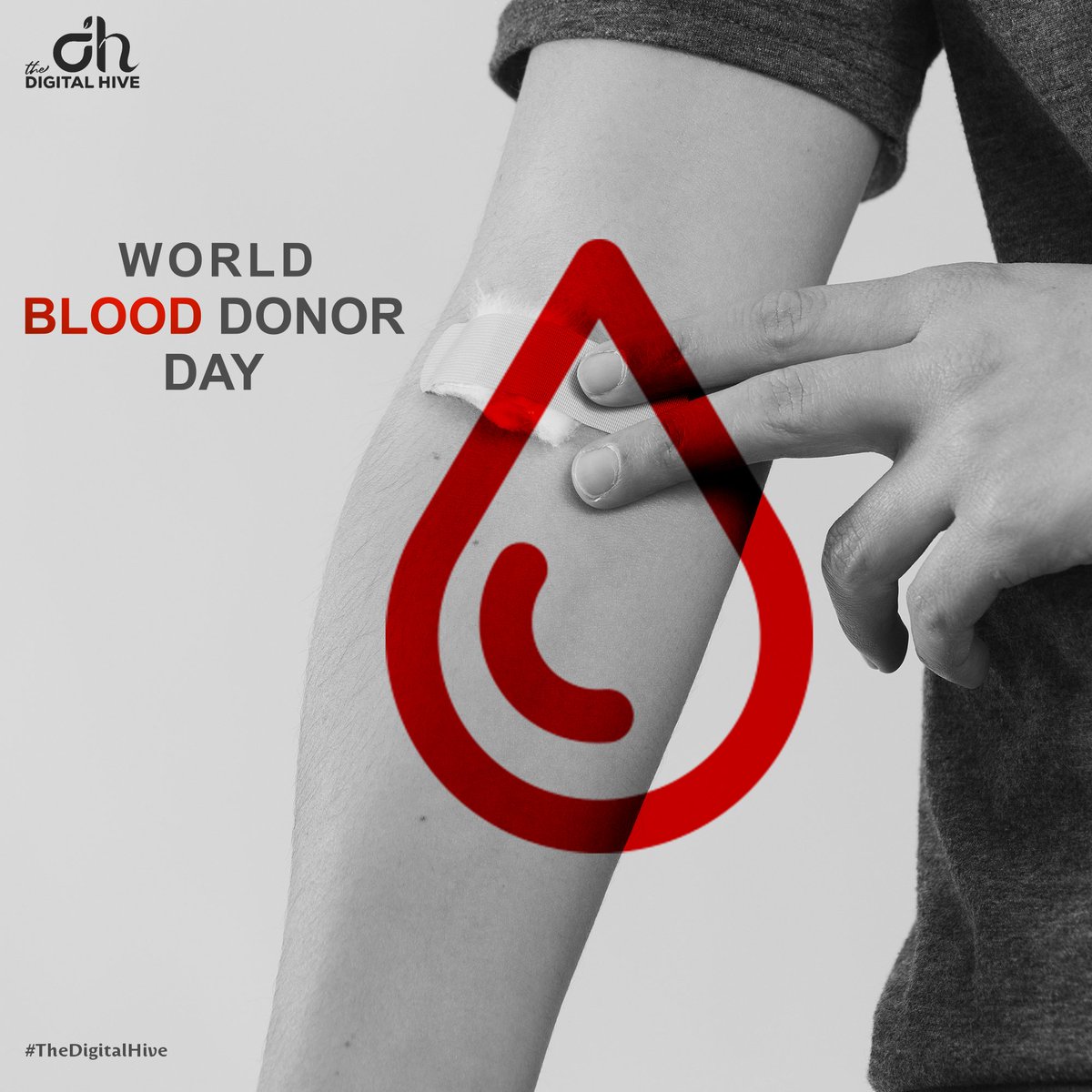 SHARE YOUR BLOOD!🩸
WORLD BLOOD DONOR DAY 🥀

#BloodDonorDay #Blood #Donor #SavingLives #WBDD2023 #BloodDonation #DonateBlood #thedigitalhive #help
