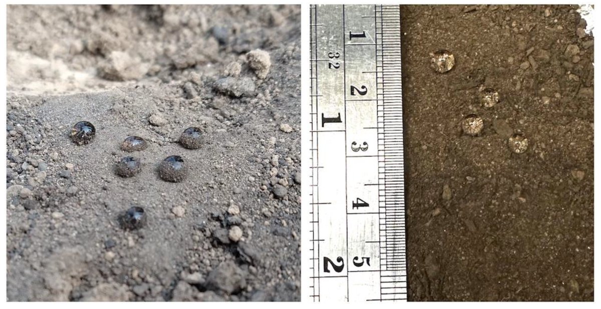 Fire_MDPI's tweet photo. Modification of Soil Hydroscopic and #Chemical Properties Caused by Four Recent California, USA Megafires
https://t.co/qJPeUlIwHQ
#soil
#water
#post_fire https://t.co/l6MMlkL2p1