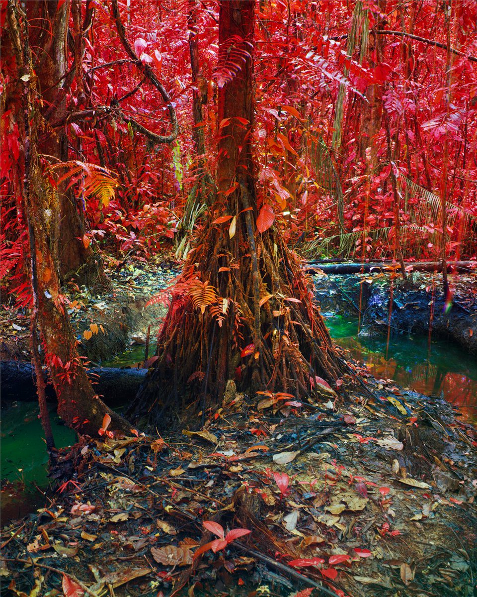 Hayward Gallery tweet media