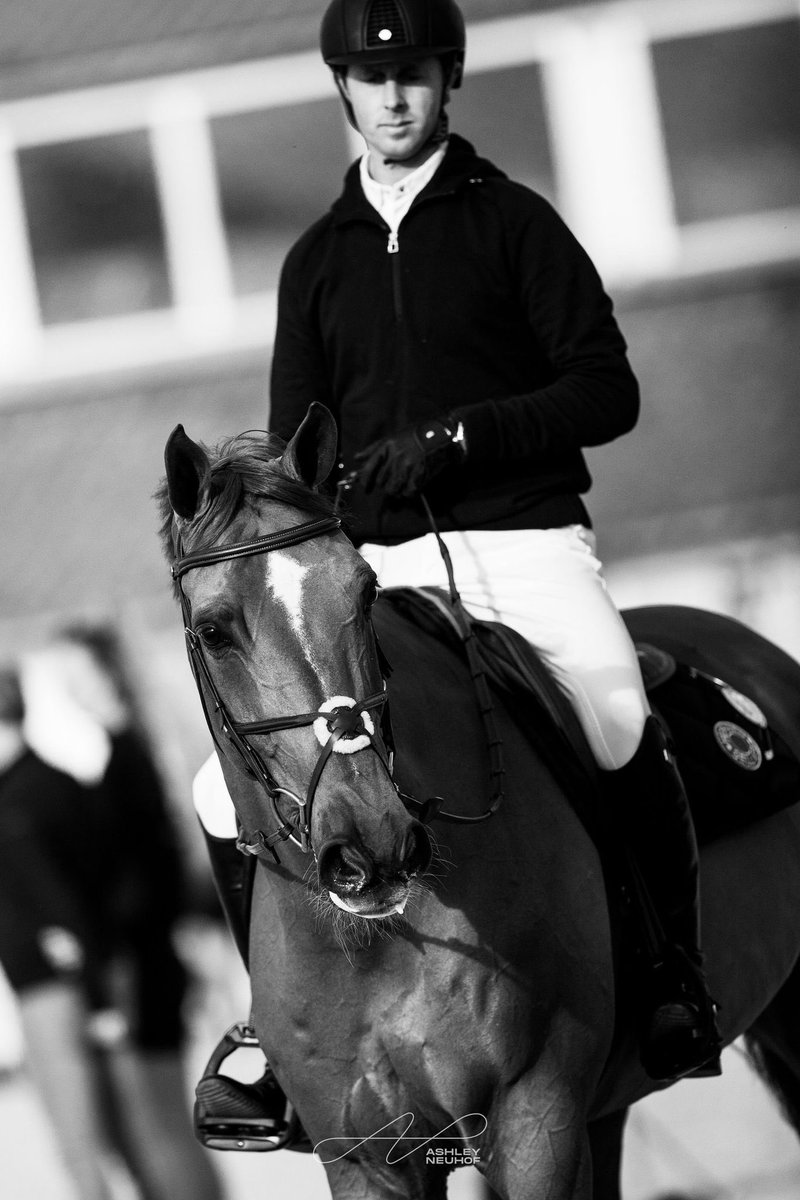 Ben Maher (@benmaher1) on Twitter photo 