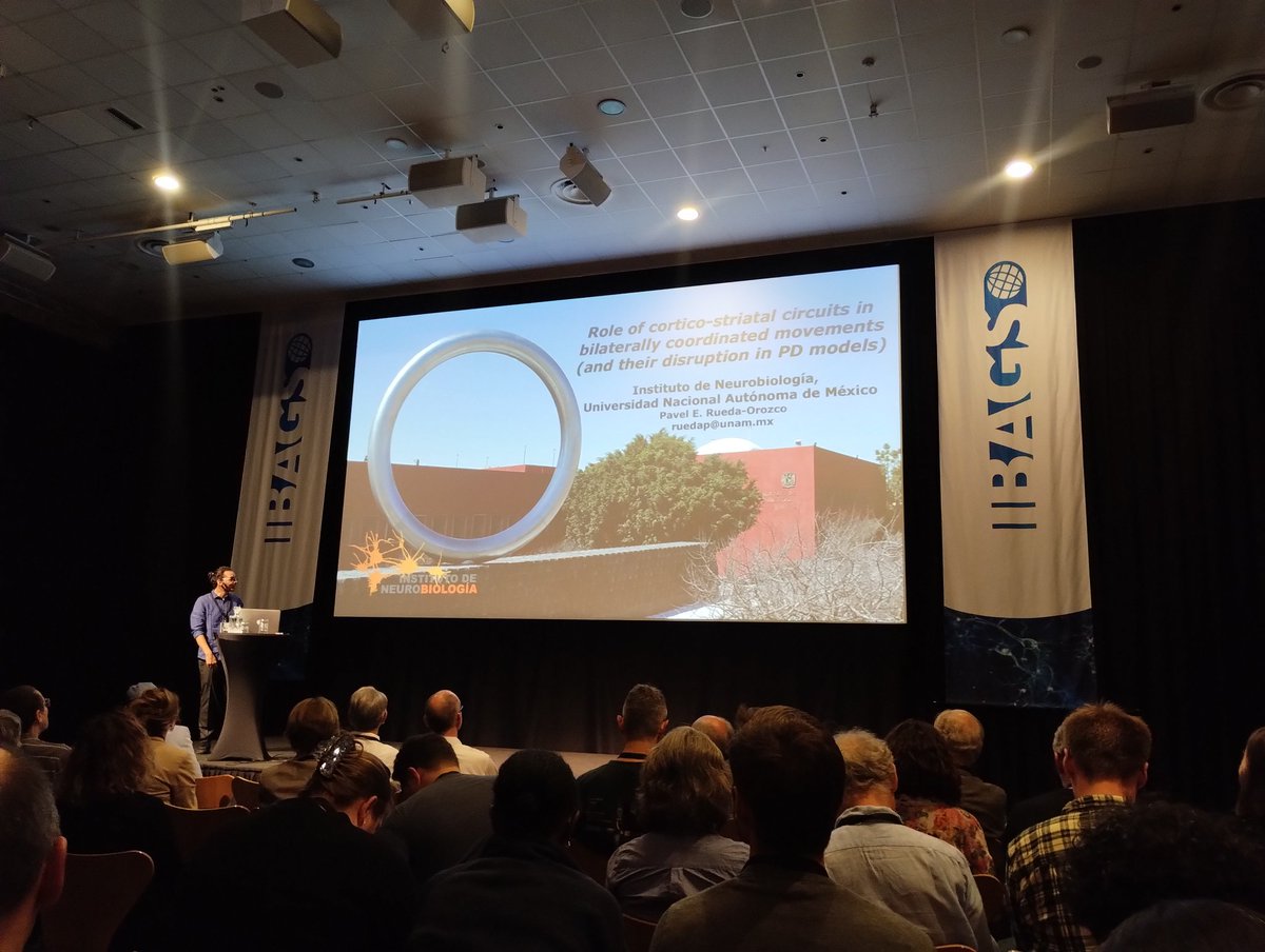 AbejaApolonia's tweet photo. My PhD tutor presenting the @pimentelak work on #IBAGS https://t.co/vt92NQABkf