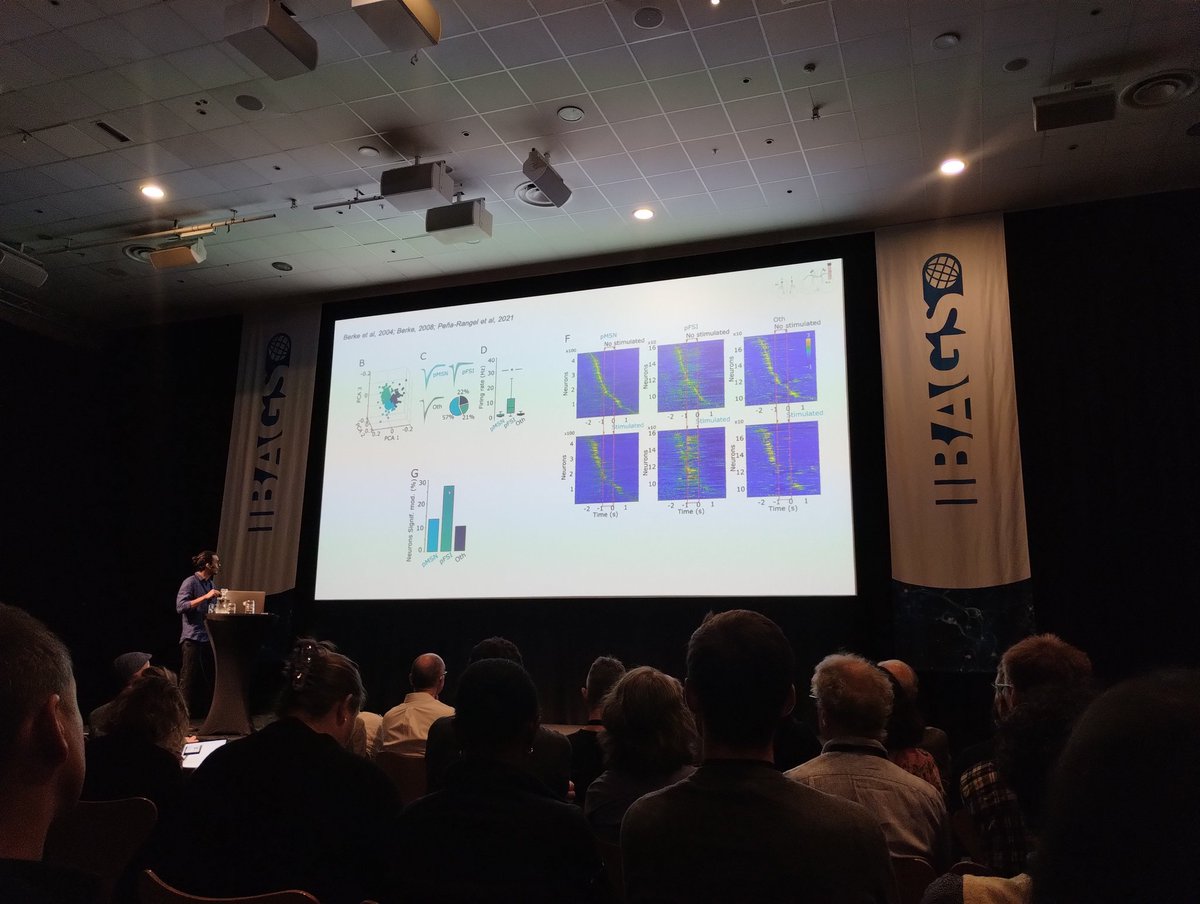 AbejaApolonia's tweet photo. My PhD tutor presenting the @pimentelak work on #IBAGS https://t.co/vt92NQABkf