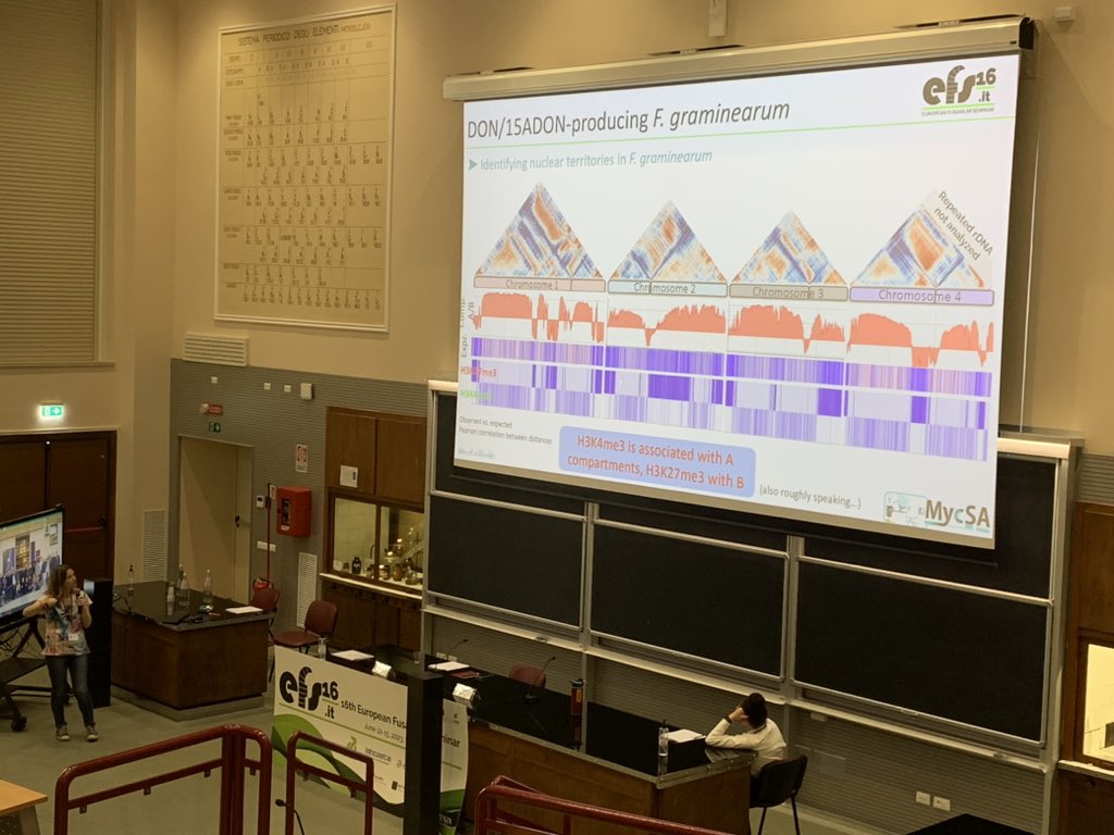 Andrea_Ca91's tweet photo. Impressive work on chromatin regulation/accessibility in F.graminarum #efs16 https://t.co/PJAEHlOrRk
