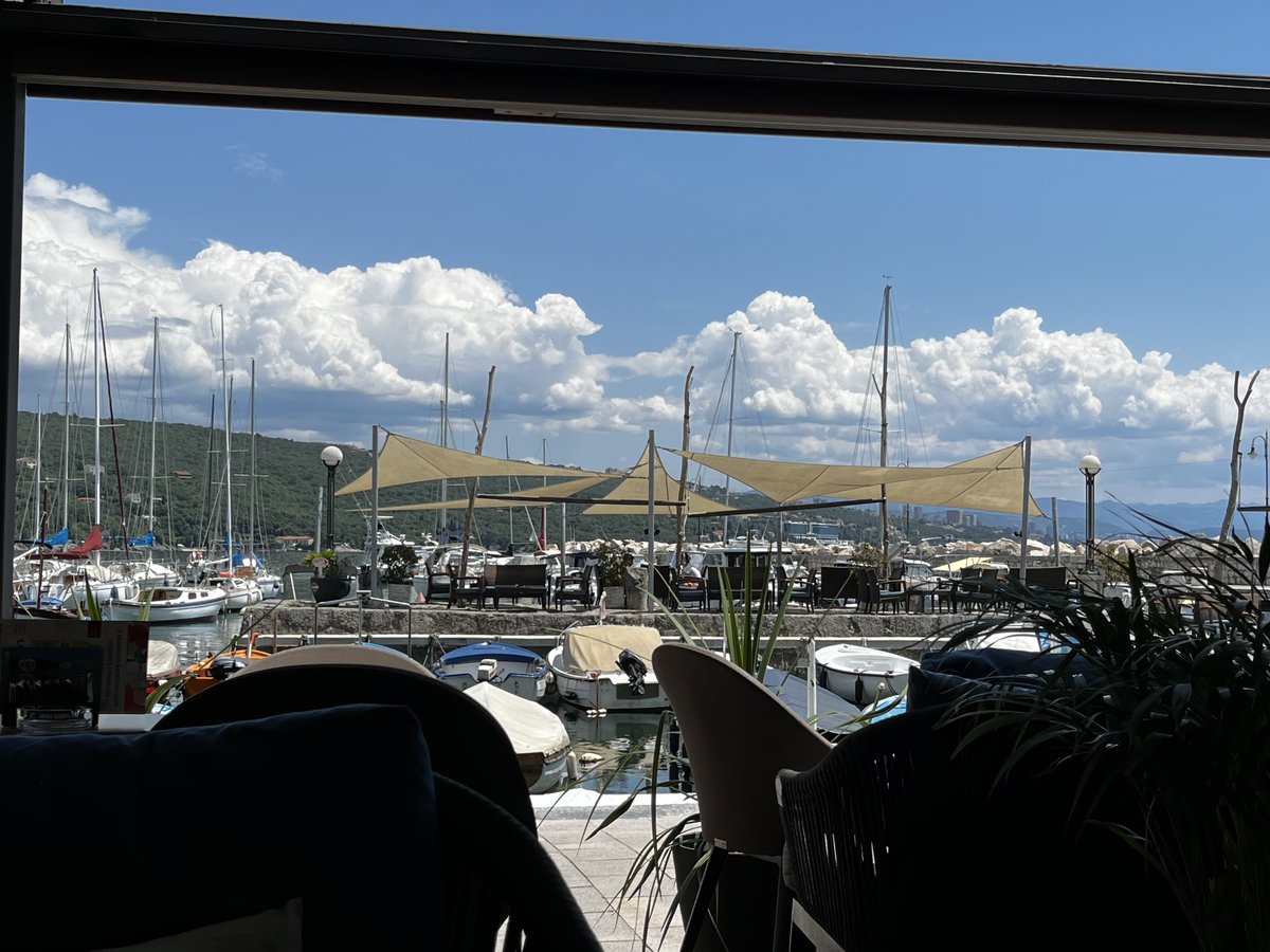 Barbara Štrbac tweet media