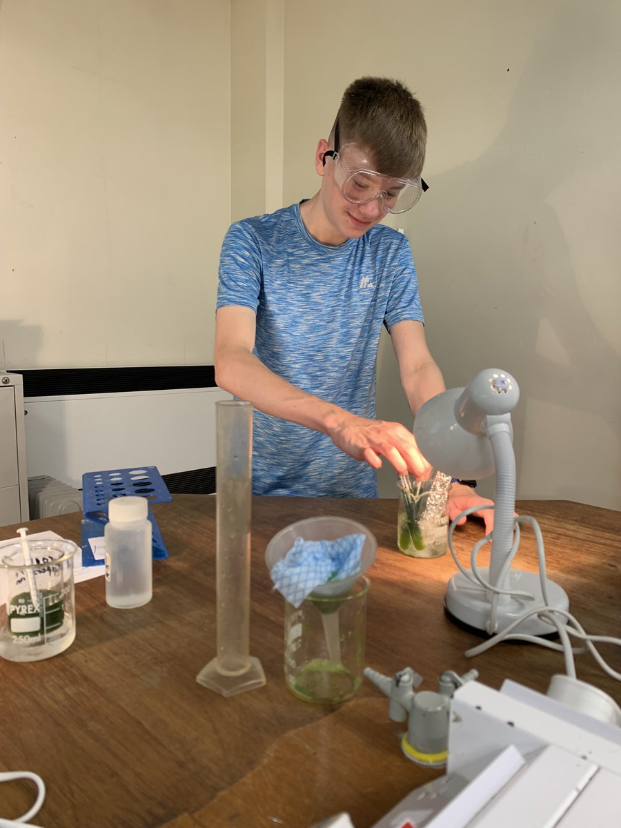 MillomSchool's tweet photo. 6th Form students @MillomSchool in Mrs Falconer's Biology lesson this morning were carrying out a required practical into the effect of ammonium hydroxide on the activity of chloroplasts.
#takepart #betterlearner #biology https://t.co/lAXEVNcyfO