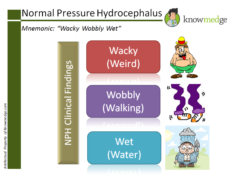 @BrownJHM Normal Pressure Hydrocephalus: triad is “wet, wacky, and wobbly”