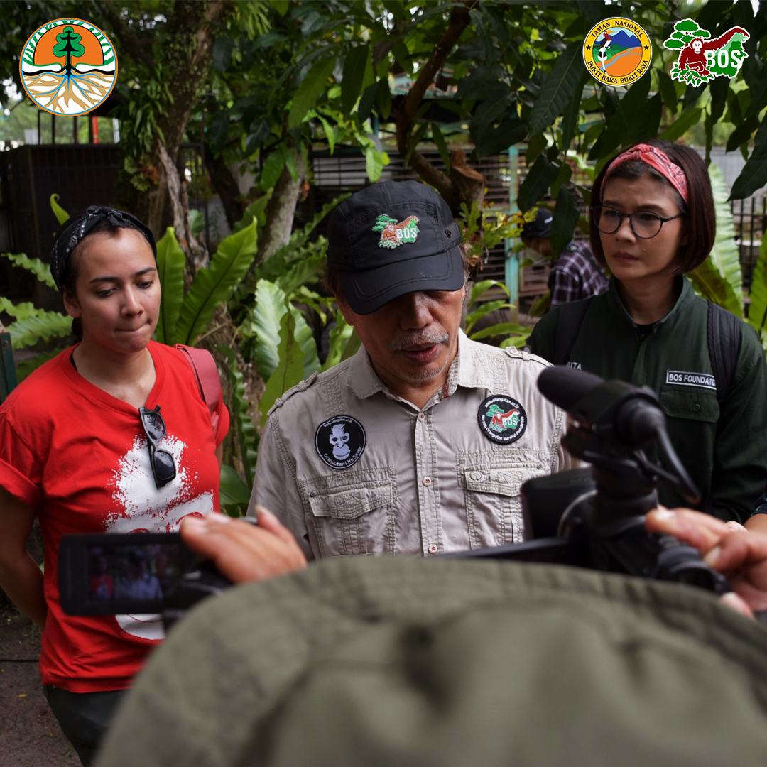 Join us on the first #OrangutanFreedom trip to the Hiran watershed in @tn_bakaraya and witness more orangutans gain their well-earned freedom! Send your support here👇

@KementerianLHK

#SaveOrangutans #OrangutanWarrior