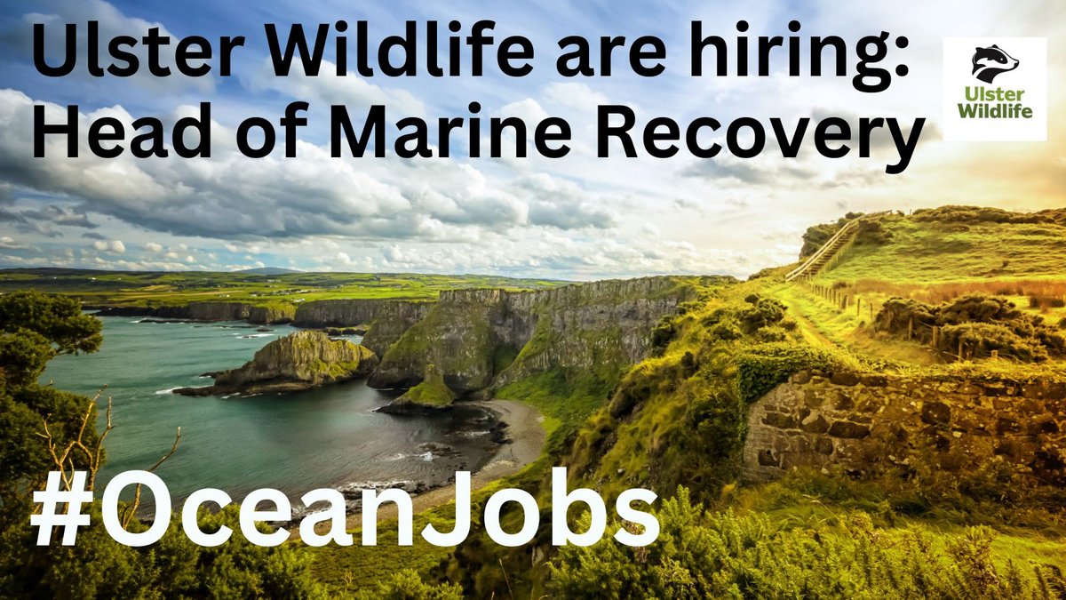 New job opportunity:
▪️Head of Marine Recovery – Ulster Wildlife @UlsterWildlife
▪️Salary: £40,628 - £45,806
▪️Location: Belfast & home
▪️Closes: Noon, 19 June
▪️Full details here 👉cmscoms.com/?p=34999

Sign up for the CMS #OceanJobs alerts 👉bit.ly/3MiyV7i