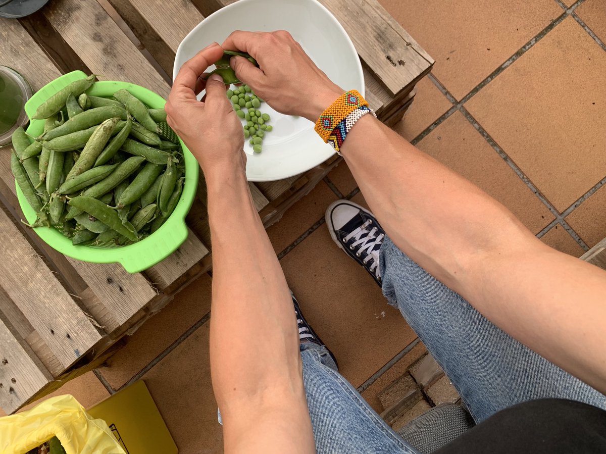 Imma Puigcorbé tweet media