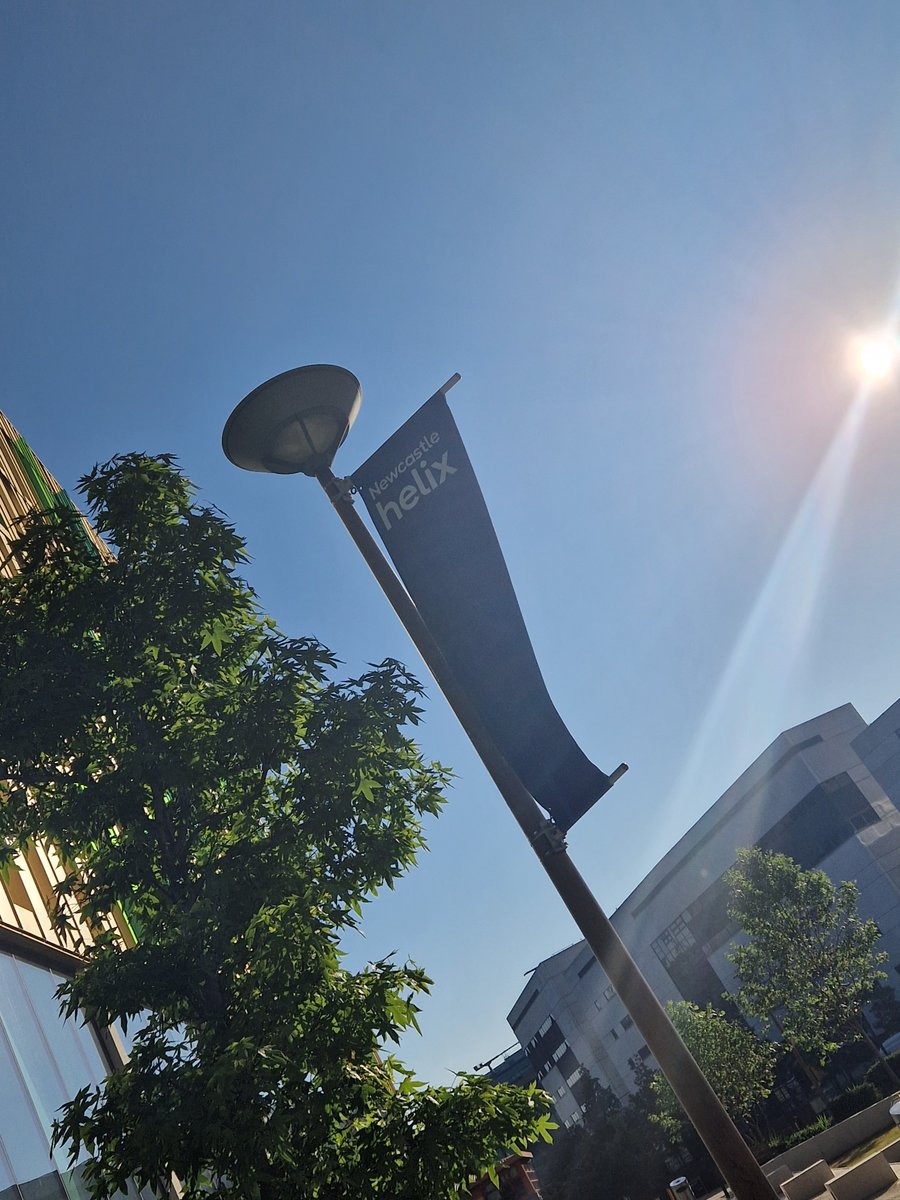 Liz Llewellyn tweet media