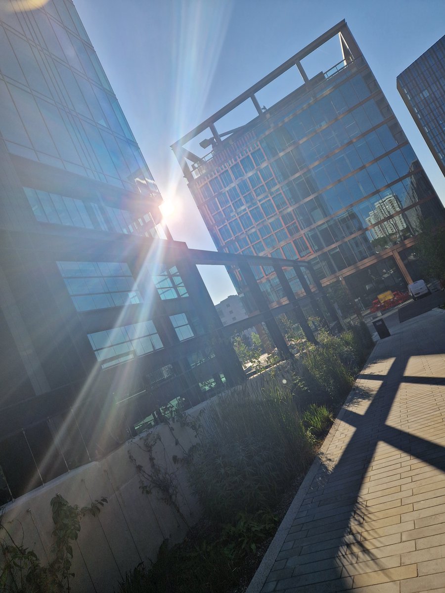 Liz Llewellyn tweet media