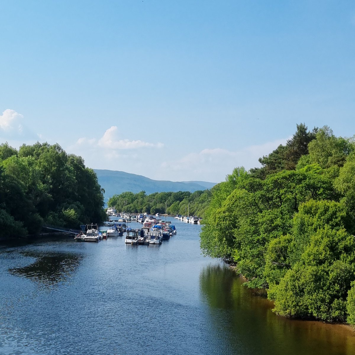 Heike John Ba tweet media