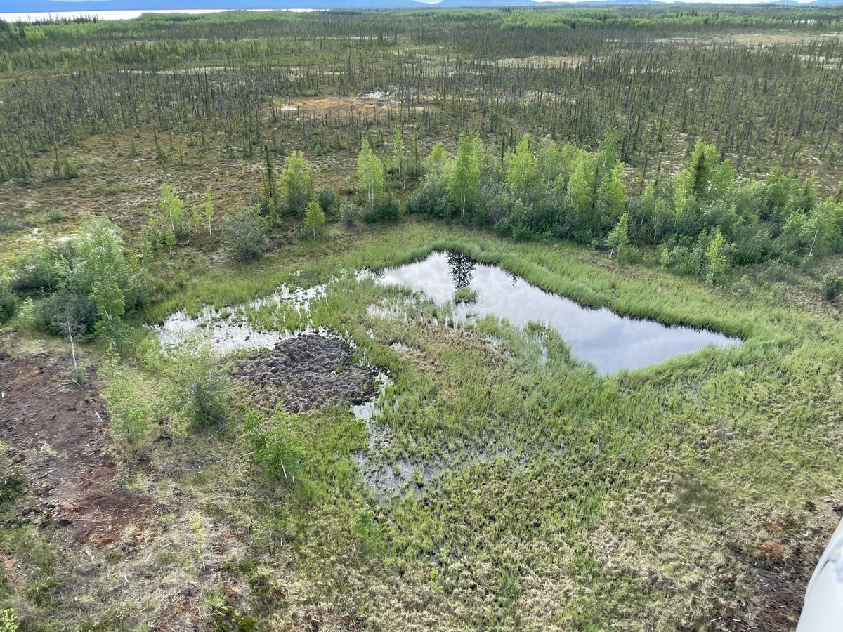 tephrafan's tweet photo. The #Sahtu region has about 200 drilling #sumps from oil exploration. It was assumed #permafrost would contain waste but in this area it is thin and vulnerable following disturbance. @OnTheLandry’s is testing permafrost integrity with ERT, ground temps, and mapping. https://t.co/BO5LFliGdk