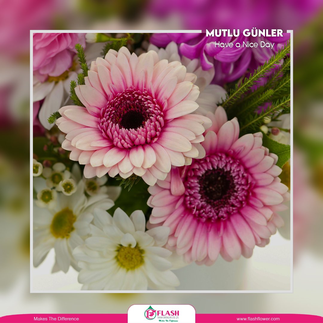 Günaydın, mutlu günler dileriz 💐

#makesthedifference #farkyaratır