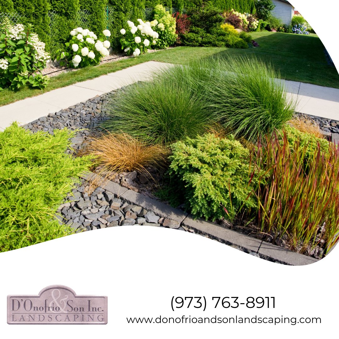 Have a boring backyard space? Let us help you turn it into an outdoor sanctuary!

#landscapes #lawnmaintenance #lawncareservice #newjersey #lawnservice

Call us at (973) 763-8911 to book an appointment! donofrioandsonlandscaping.com/services.php