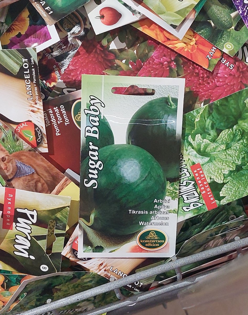 Nesaprotu kāpēc tie vīrieši meklē sugar babies pa instagramu, ja var nopirkt sēklas un paši iestādīt.