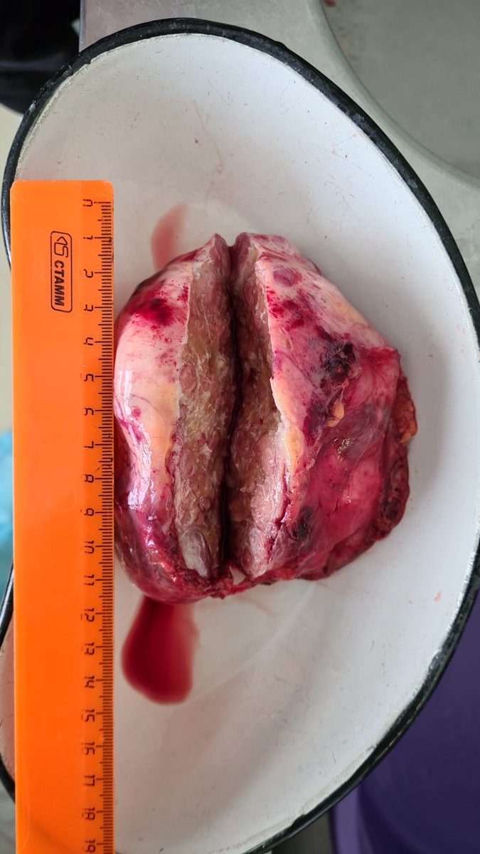 Rosliakova Elena tweet media