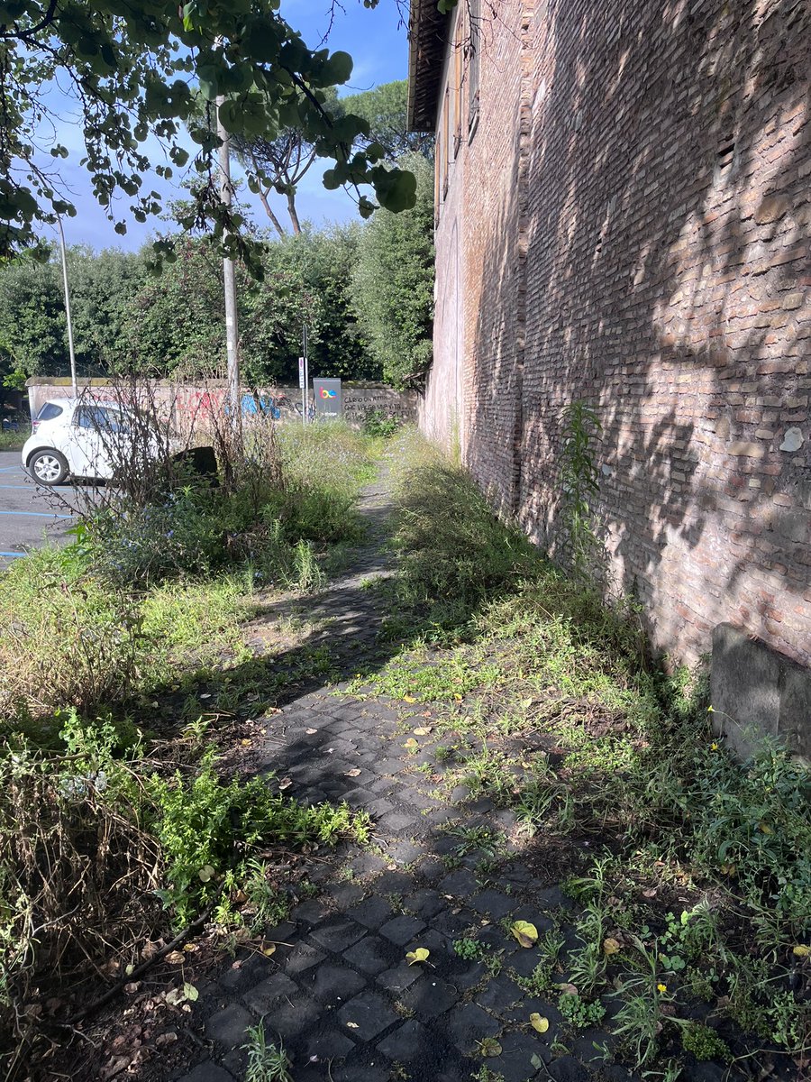 anna_foglietta's tweet photo. C’era una volta un marciapiede. @Roma @gualtierieurope che dobbiamo fare? La Citta è una giungla https://t.co/a9DNx9tzO7