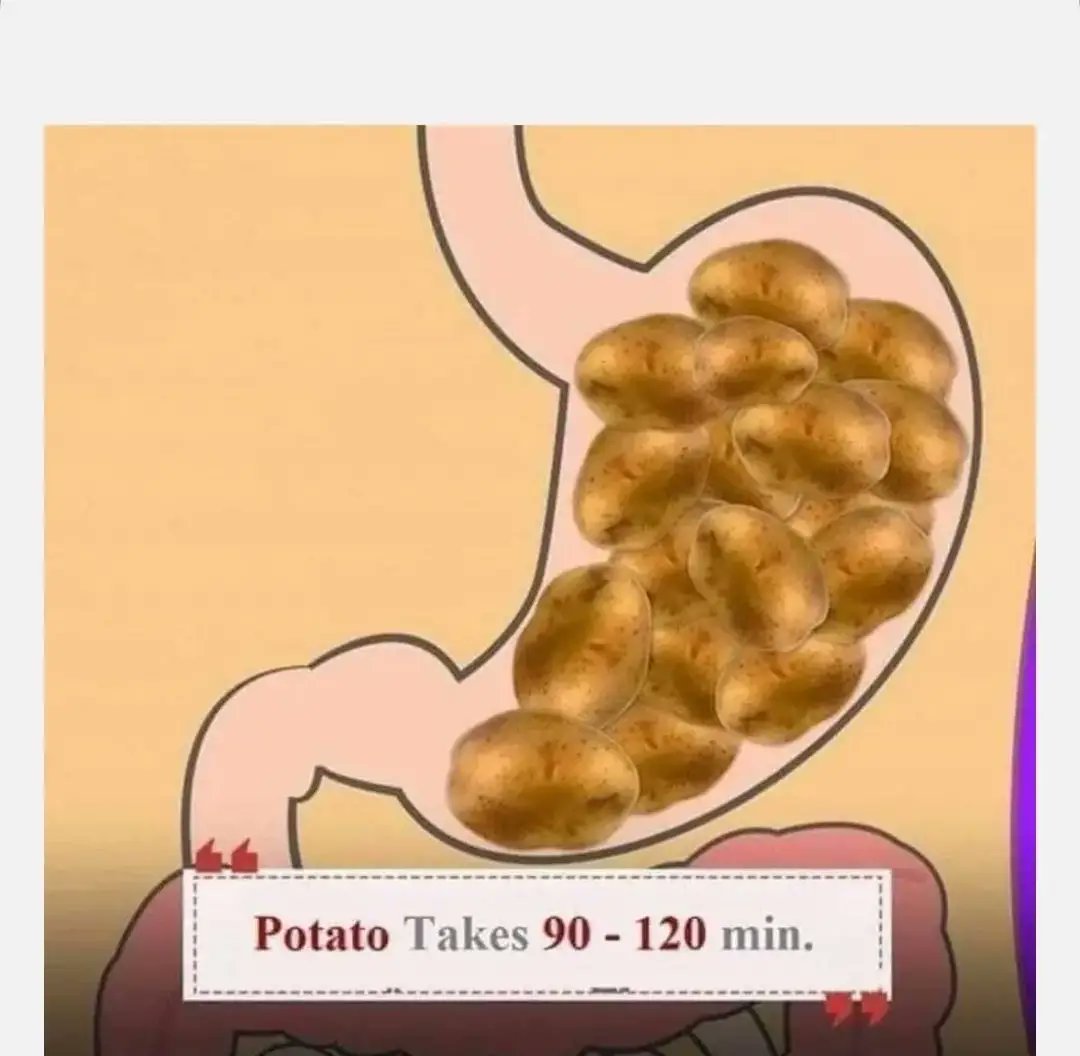 From Food to Poo: How Long Does Digestion Take For Different Foods?

1. Potatoes