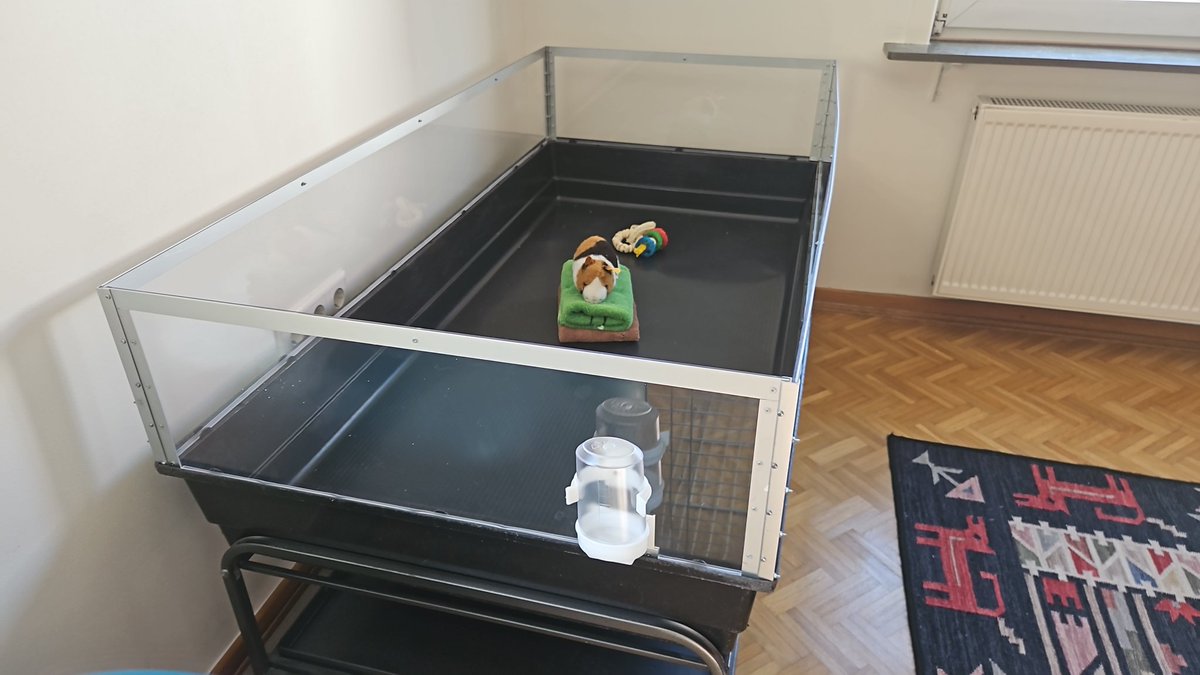 _altoel_'s tweet photo. Kleines Projekt fertig gestellt. Hoffe meine Mama freut sich wenn sie aus dem Urlaub kommt 😀 https://t.co/lx9OSNnpxT