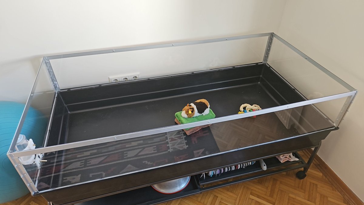 _altoel_'s tweet photo. Kleines Projekt fertig gestellt. Hoffe meine Mama freut sich wenn sie aus dem Urlaub kommt 😀 https://t.co/lx9OSNnpxT