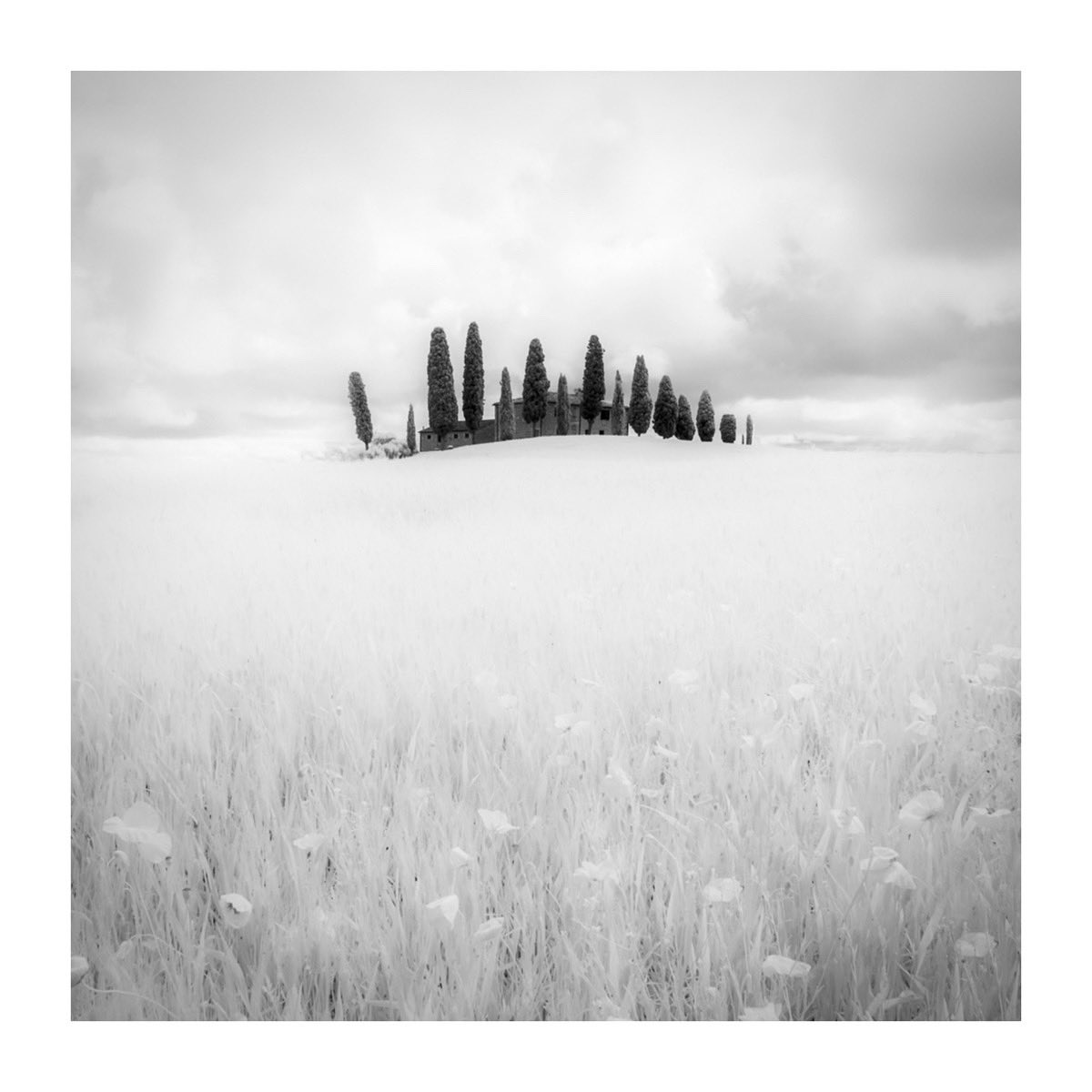 edmrumble's tweet photo. A little Tuscan surrealism with my @SonyUK IR converted A7r camera body. I have found the Sony 28mm f2 a brilliant lens for IR with no hotspot and excellent sharpness. 

#Infrared #fineartphotography #tuscany https://t.co/FFjbLaPX3b