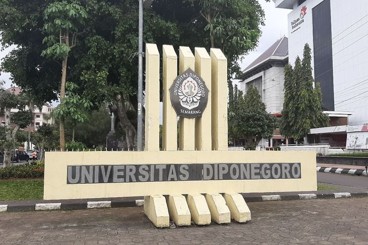 nfjuara's tweet photo. Materi dan Syarat Penting UM UNDIP 2023 📔 

Info penting buat kamu yang mau daftar UM UNDIP ‼️ 

- Mini Thread

#undip #studytwt https://t.co/YkuA2XCMTe