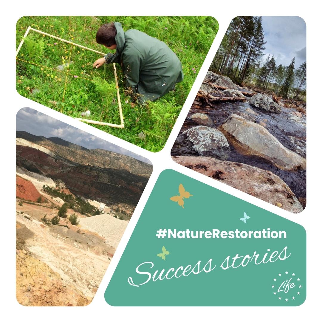 All across the 🇪🇺, #LIFEprojects are taking action to #RestoreNature for greater food security🌾, healthier ecosystems 🐝 &amp; more resilience 🌞.

Their journey tells us #NatureRestoration is a tremendous challenge but one worth pursuing #ForOurPlanet.💚

🫴 europa.eu/!ybnprc
