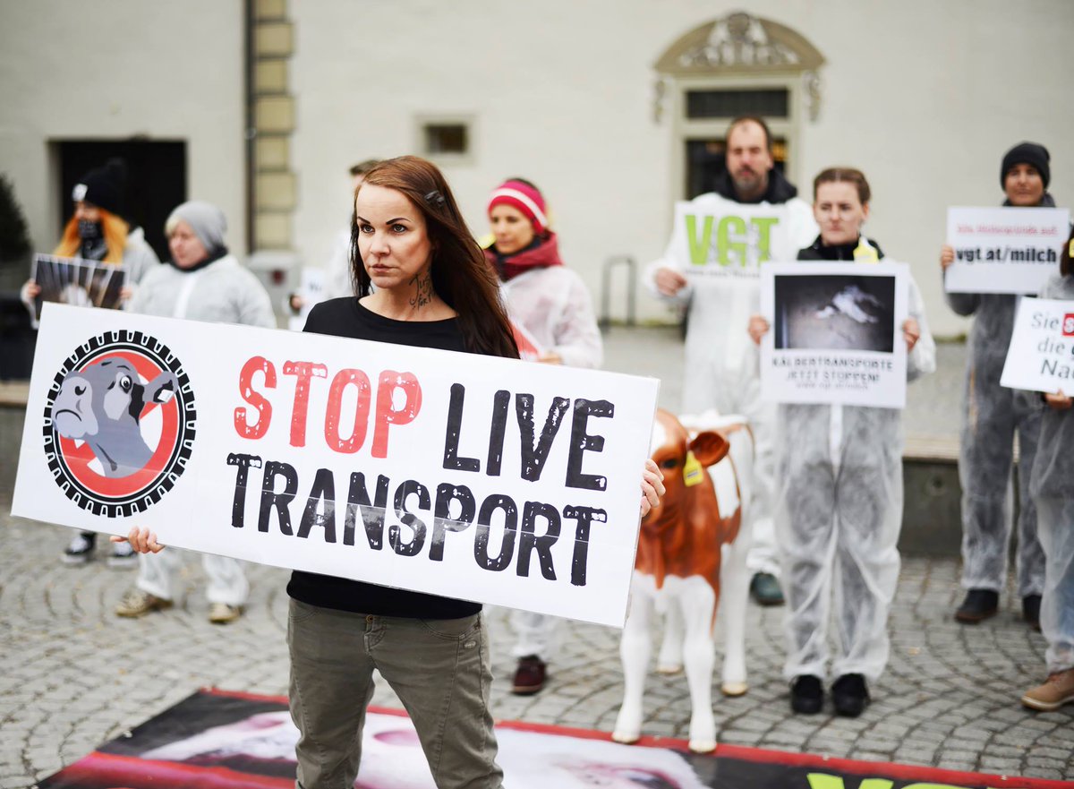 Heute ist Int. Protest für das Ende der #Tiertransporte! 📷📷 #transportestoppen #StopLiveTransport !B