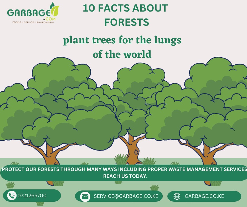 'Forests cover 30% of the Earth's land, crucial for biodiversity, climate regulation, and livelihoods. Deforestation threatens them, impacting climate change and species. Let's protect and manage forests sustainably. Learn more: linkedin.com/posts/garbage-… #ForestFacts'