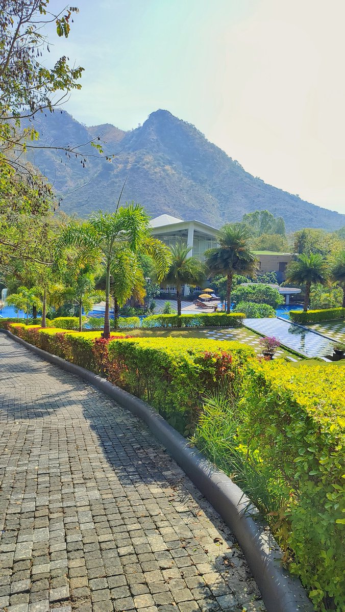 A picturesque green oasis, Taj Aravali invites you to experience luxury and revelry at its serene sanctuary.

#TajAravali #TajHotels #Udaipur #Rajasthan