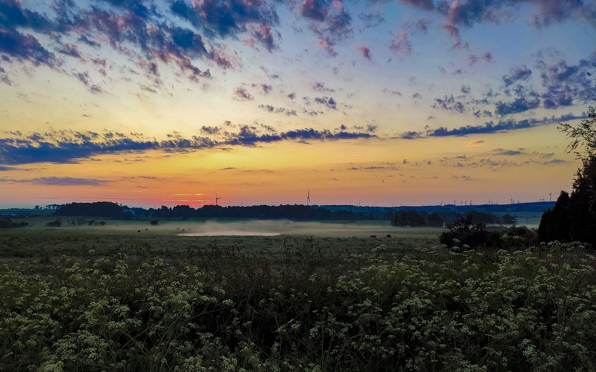 Pre-sunrise from Old Wishaw Road, Carluke

#sunrise #outdoors #lanarkshire #scotland #uk #unitedkingdom