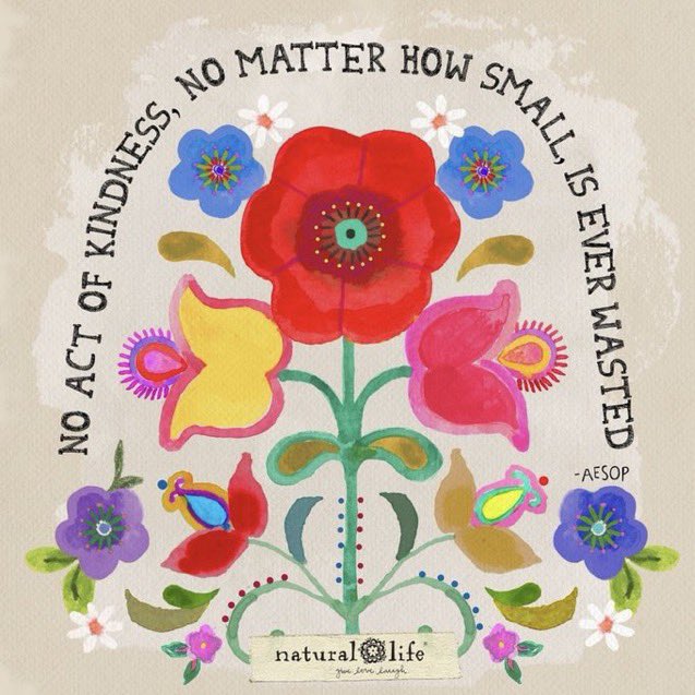 Wise Wednesday words….