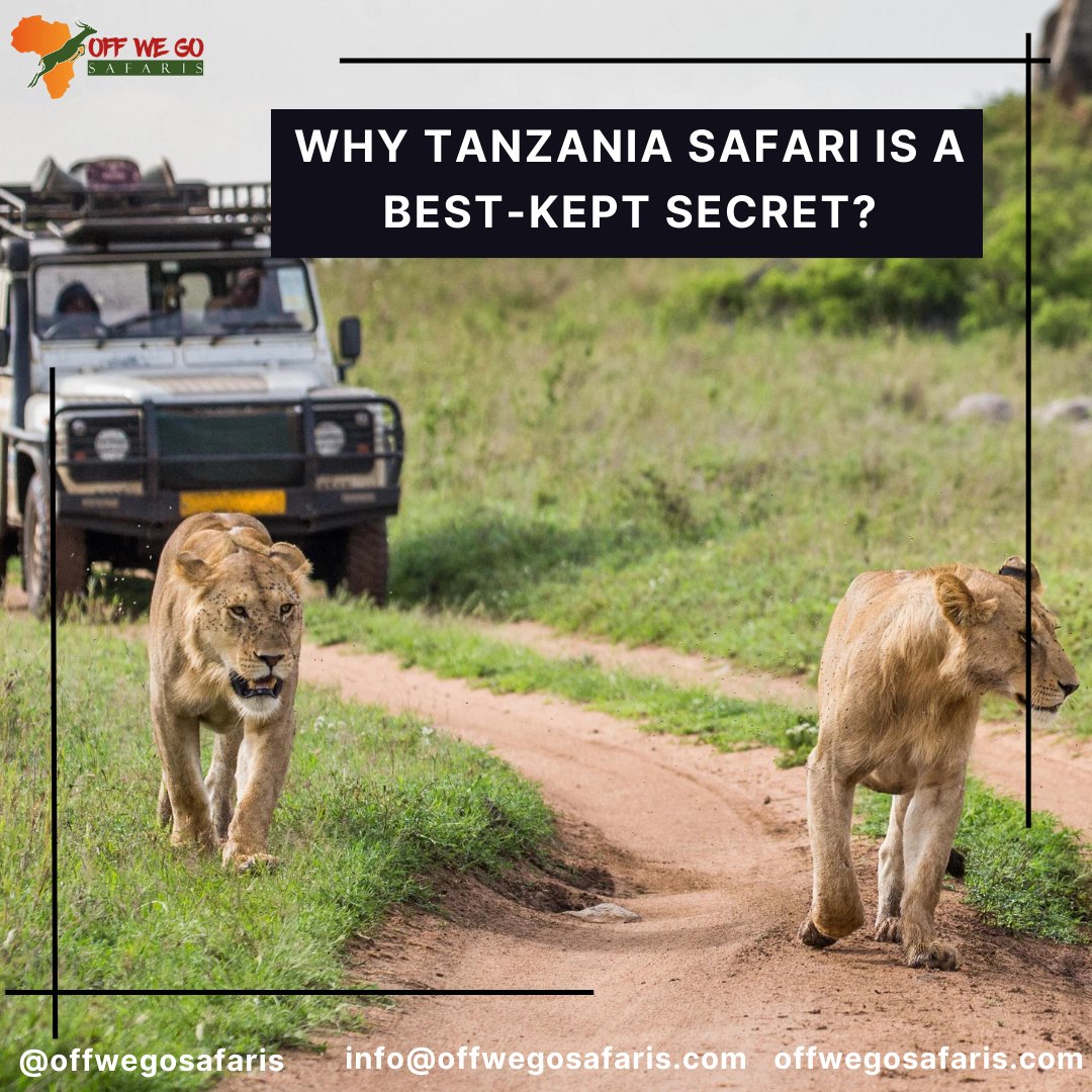 Among the Best Safaris in Tanzania that you will witness in Tanzania, Ruaha National Park provides the most beautiful landscapes. This national park is dotted with baobabs and truly makes Tanzania Africa’s best-kept secret.

#tanzania #selous #selousgamereserve #ruahanationalpark