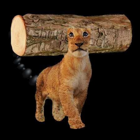 RUMR Records tweet media