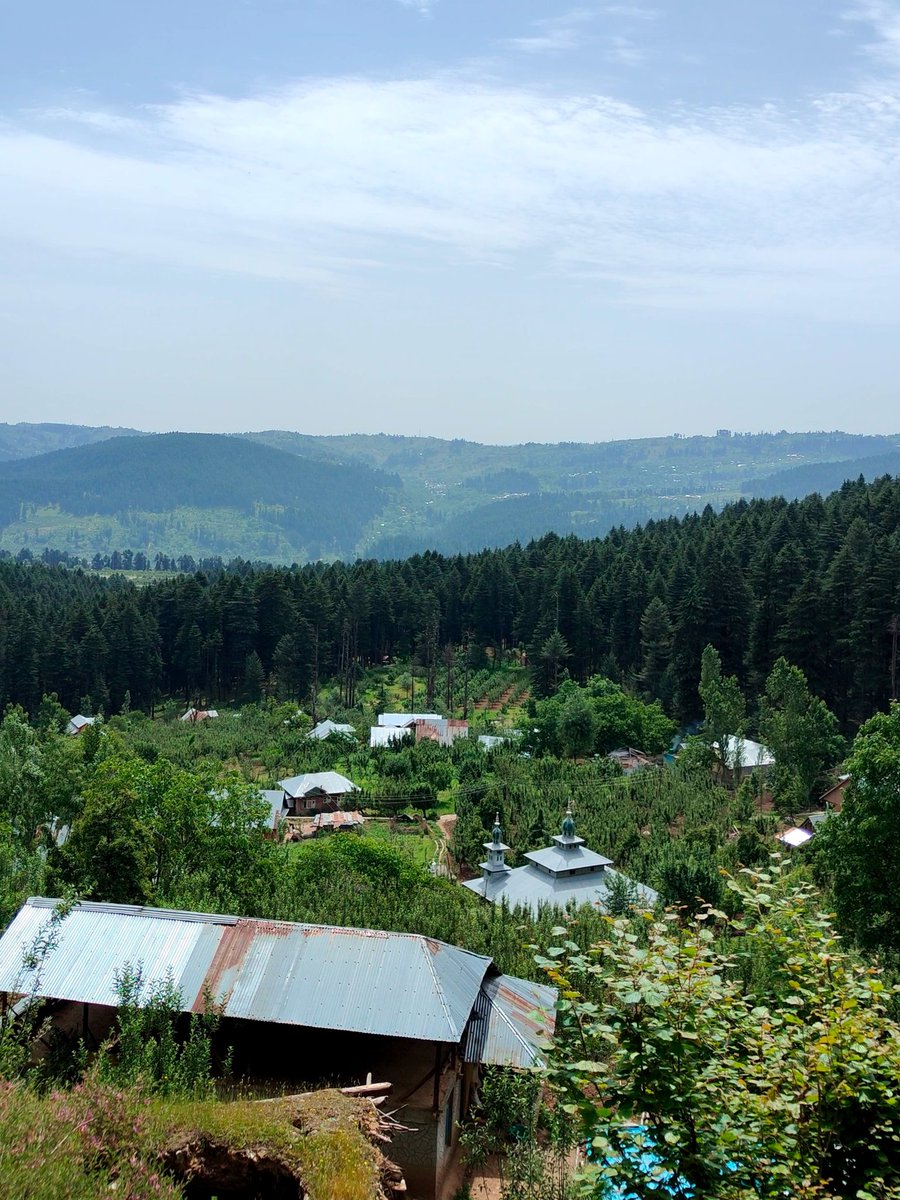 thebedouen's tweet photo. 🌿 Immerse yourself in the fragrant embrace of #nature! #discover #Gowas, a hidden gem where pristine water streams flow through lush landscapes, and majestic #Deodar and Pine #trees adorn the scenery. https://t.co/1PjaQ6PJCg